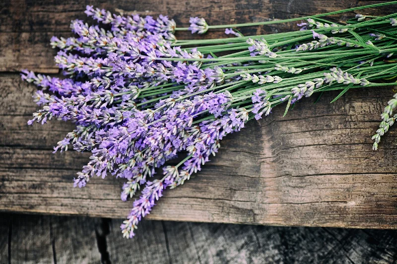 Lavender Fragrance Oil