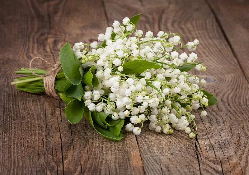 Lily Of The Valley Fragrance Oil