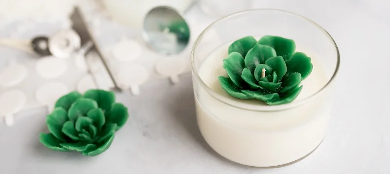 Succulent Soy Candle