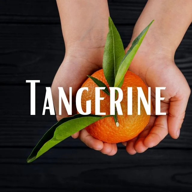 Tangerine Scent Refill